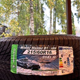 Greentrac Winter Master D1 215/60 R16 99H