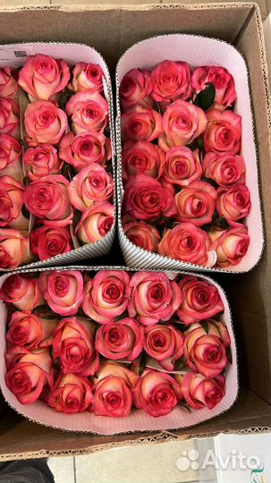 Цветы оптом