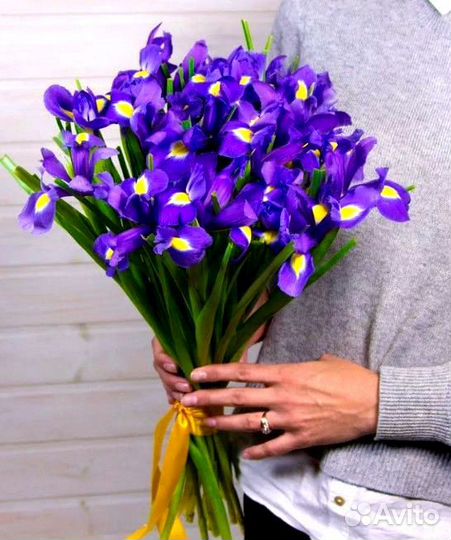 Ирис Сибирский букет