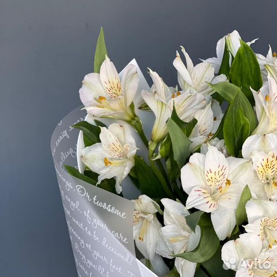 Альстромерия