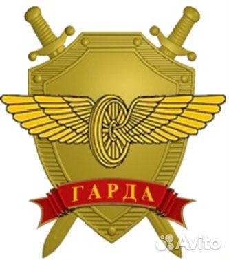 Оперативный дежурный досмотр, наблюдение, гбр