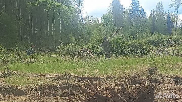 Выкарчовка и отчиска планировки участок