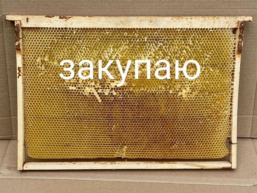 Сушь пчелиная