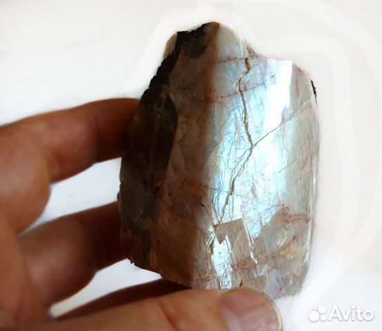 Беломорит коллекционный