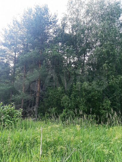 Участок 100 сот. (СНТ, ДНП)