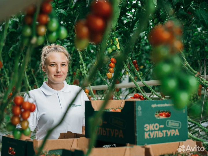 Работник теплицы. Вахта 5/2.Бесплатное проживание