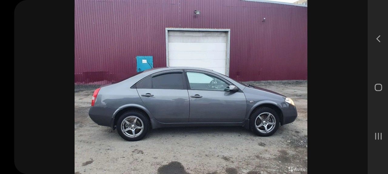 Nissan Primera: фото владельца