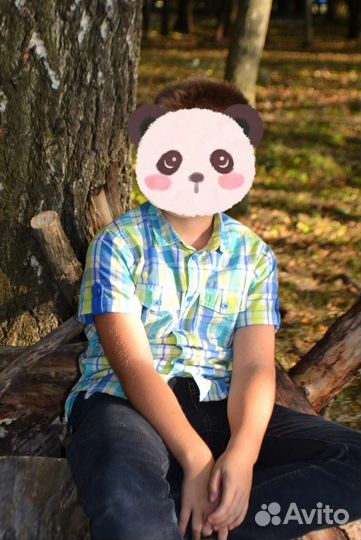 Рубашки с коротким рукавом 140-146