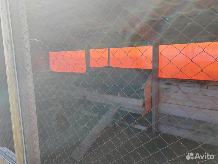 Вольер для собак для птицы