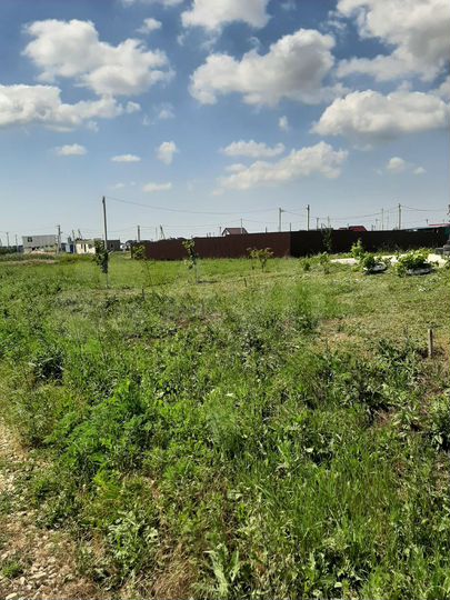 Участок 14 сот. (СНТ, ДНП)