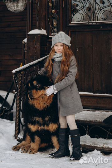 Пальто для девочки Terranova 128-134 см