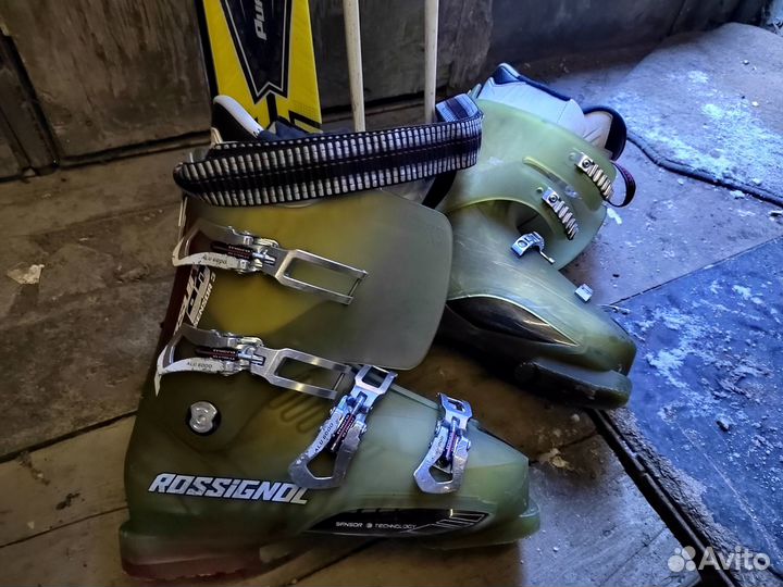 Горные лыжи