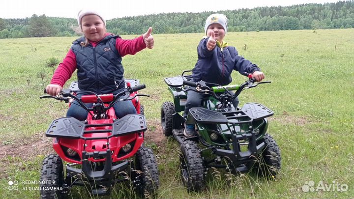 Мини гризлик