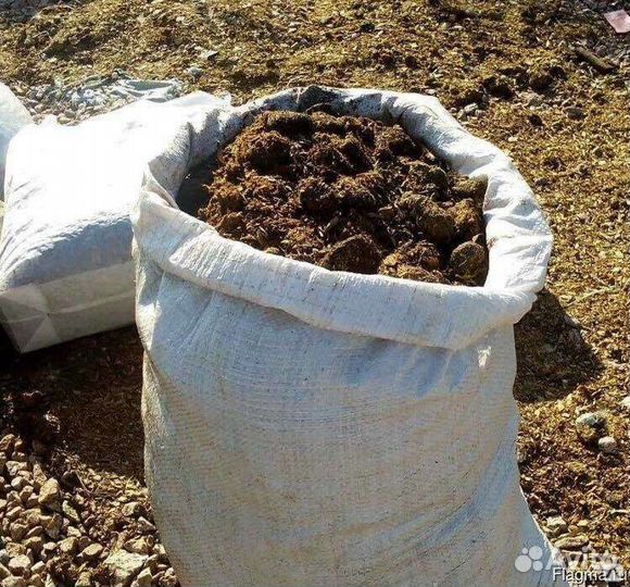 Конский навоз, самовывоз