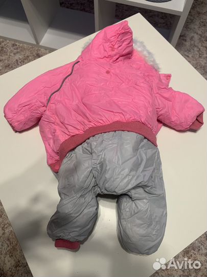 Одежда для средних собак