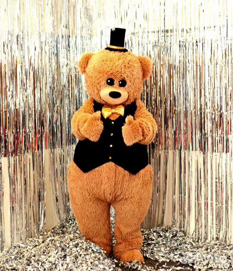 Аниматор.Мишка Тедди на праздник