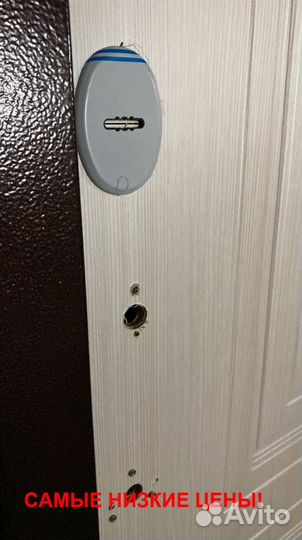 Дверь входная с установкой