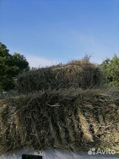 Сено в тюках