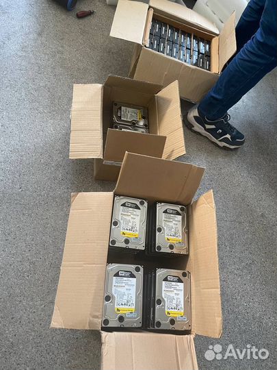 Жесткие диски 3.5 WD SATA wd1002fbys