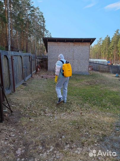 Дезинфекция