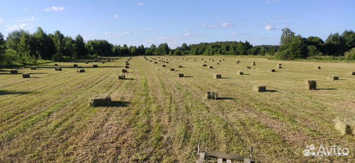 Сено в тюках