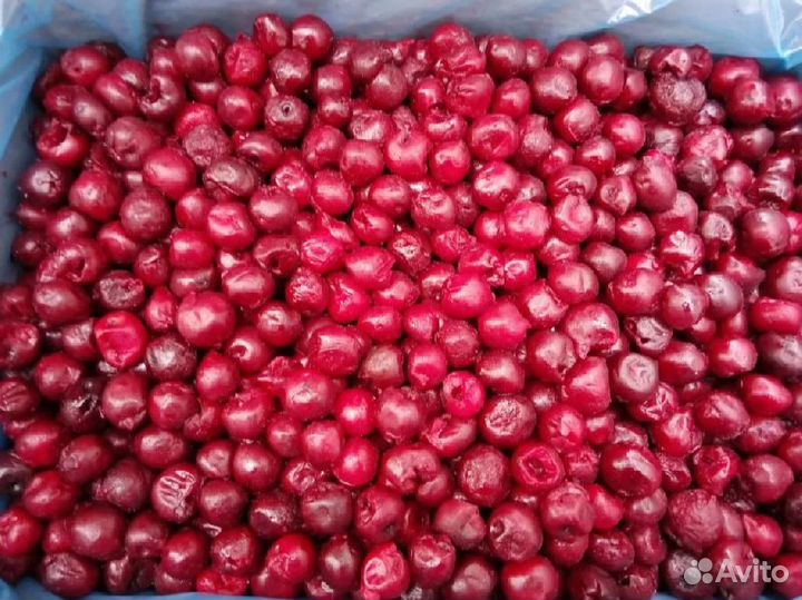 Вишня без косточки Узбекистан замороженная коробка