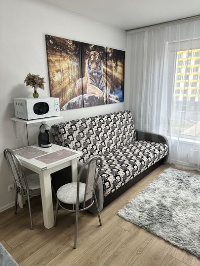 Квартира-студия, 20 м², 4/25 эт.