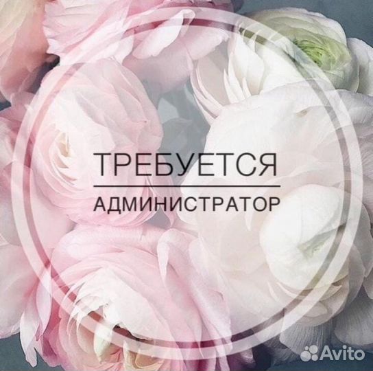 Администратор в хостел
