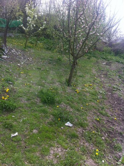 Дом 92,9 м² на участке 50 сот.