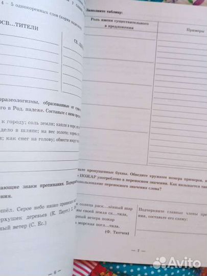 Рабочая тетрадь по русскому языку 6 класс