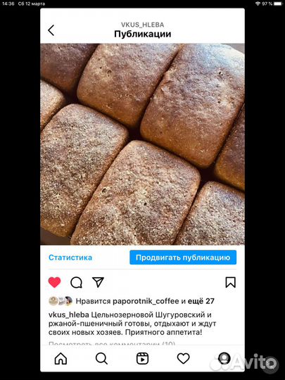 Хлеб без глютена из зелёной гречки