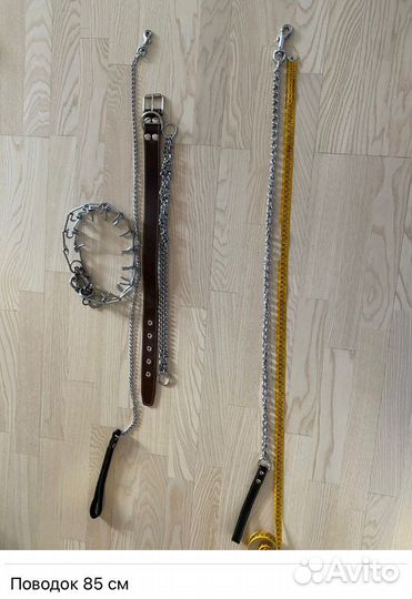 Амуниция для собак