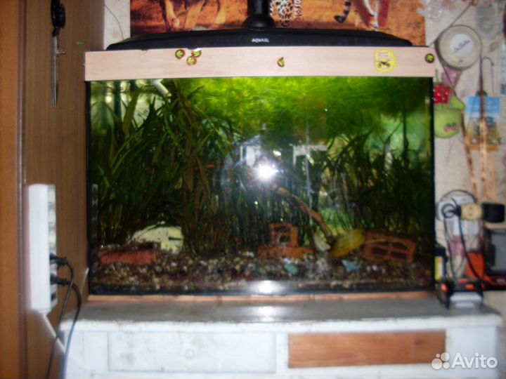 Аквариум