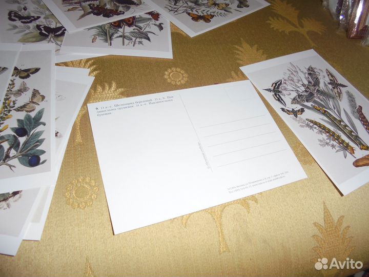 Бабочки Европы Наб 15 открыток