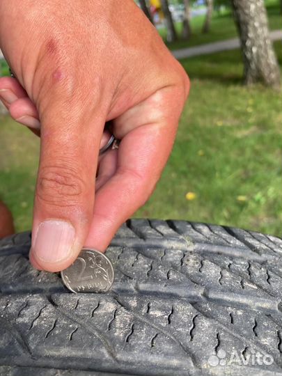 Кама евро 365