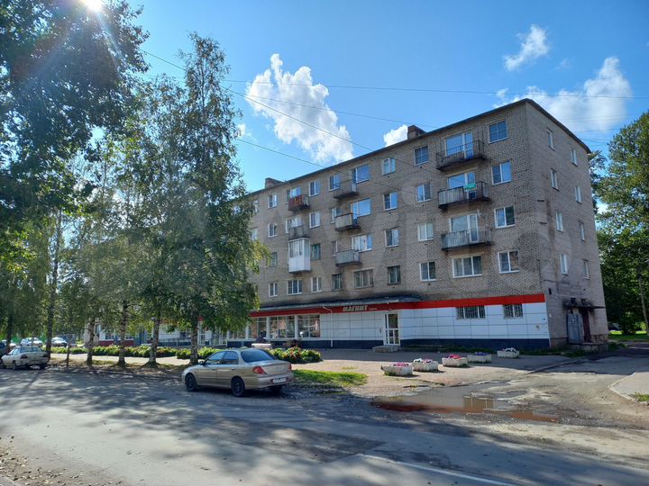 1-к. квартира, 30,4 м², 2/5 эт.