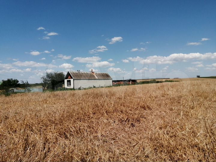 Участок 7 сот. (СНТ, ДНП)