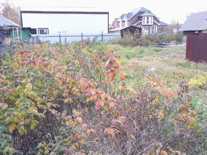 Участок 8 сот. (СНТ, ДНП)