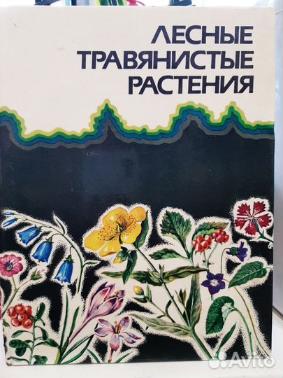 Книга лесные травянистые растения