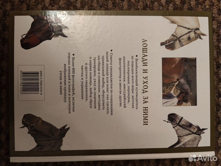 Энциклопедия лошади и уход за ними