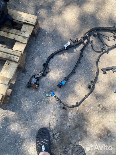Ford focus 3 pnda подкапотная проводка