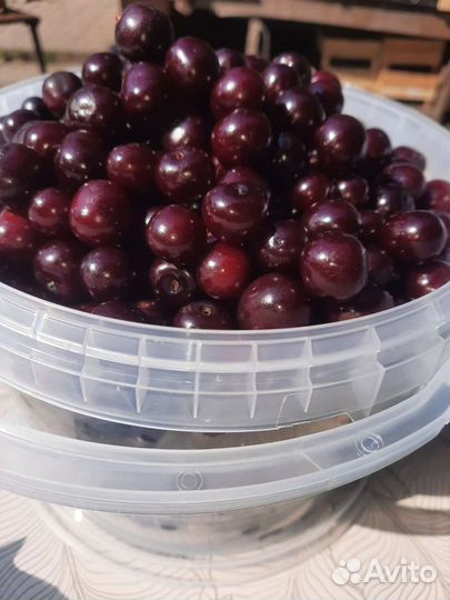 10.07 Клубника родительская 5л привезла в город