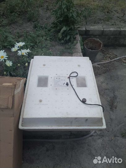 Инкубатор для яиц