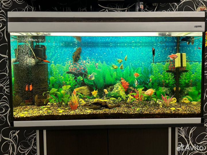 Аквариум