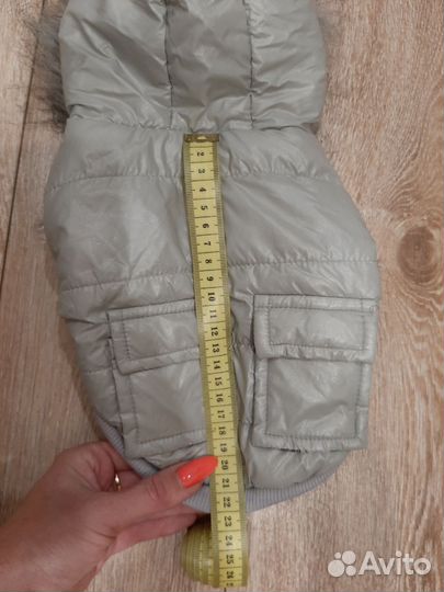 Одежда для маленьких собак