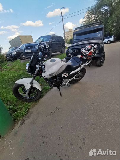 Stels flex 250