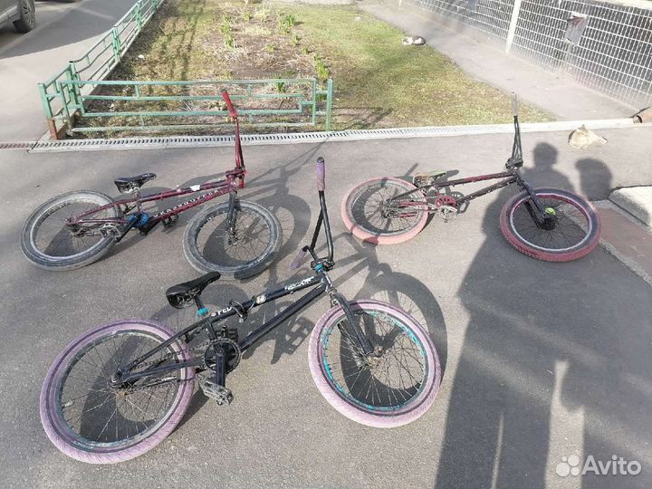 Bmx tech team grashopper