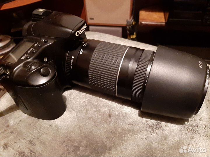 Canon 30d 40 d