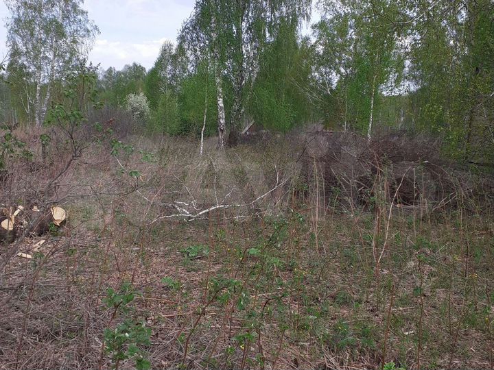 Участок 10 сот. (СНТ, ДНП)