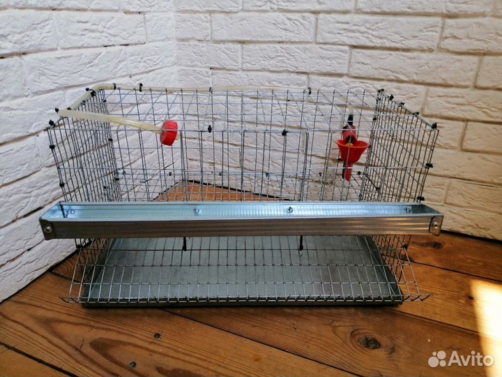 Клетка для перепелов
